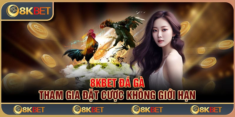 Kinh nghiệm giúp kê thủ chinh phục kèo cược đá gà kịch tính